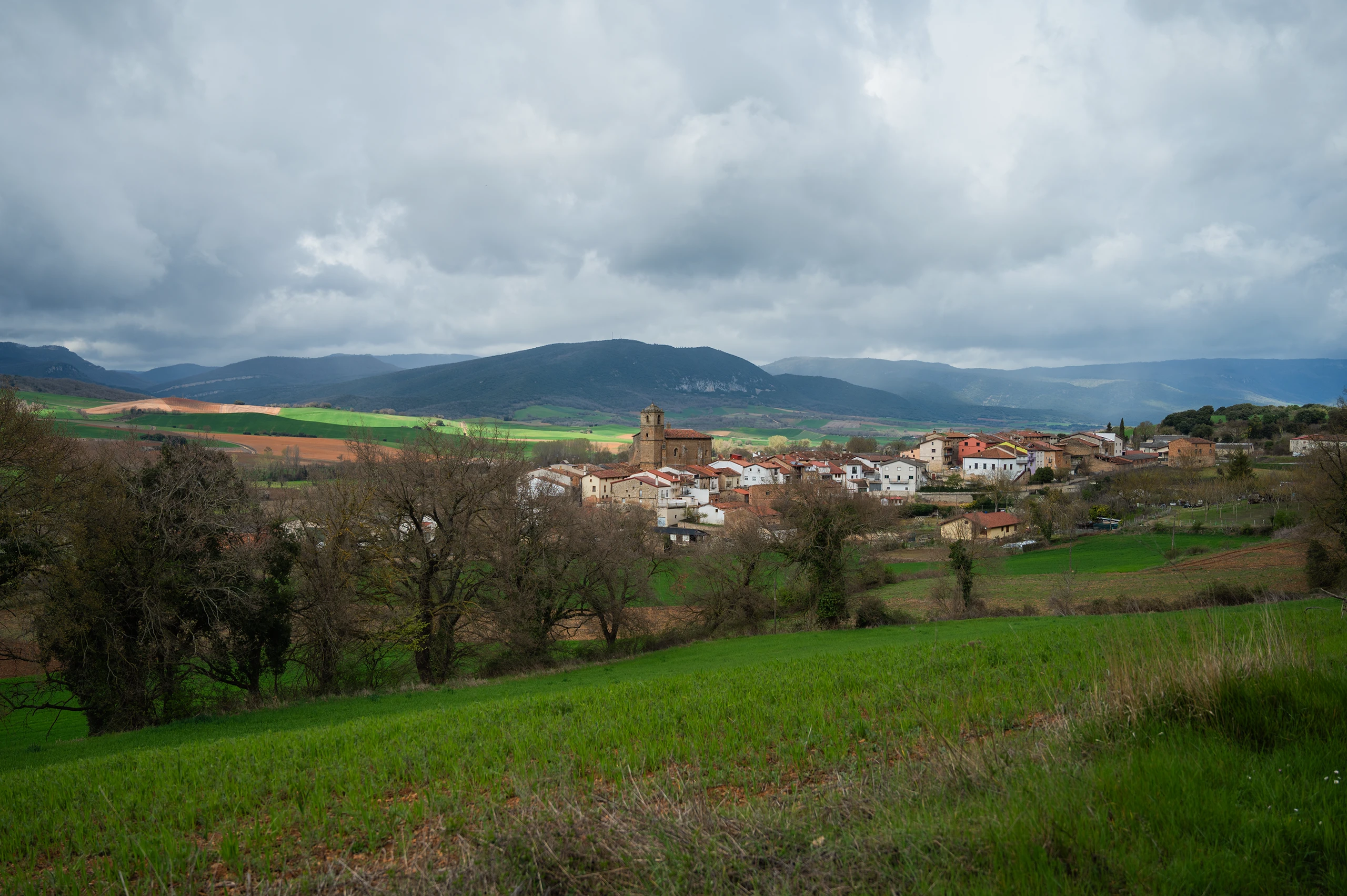 Foto de la ruta