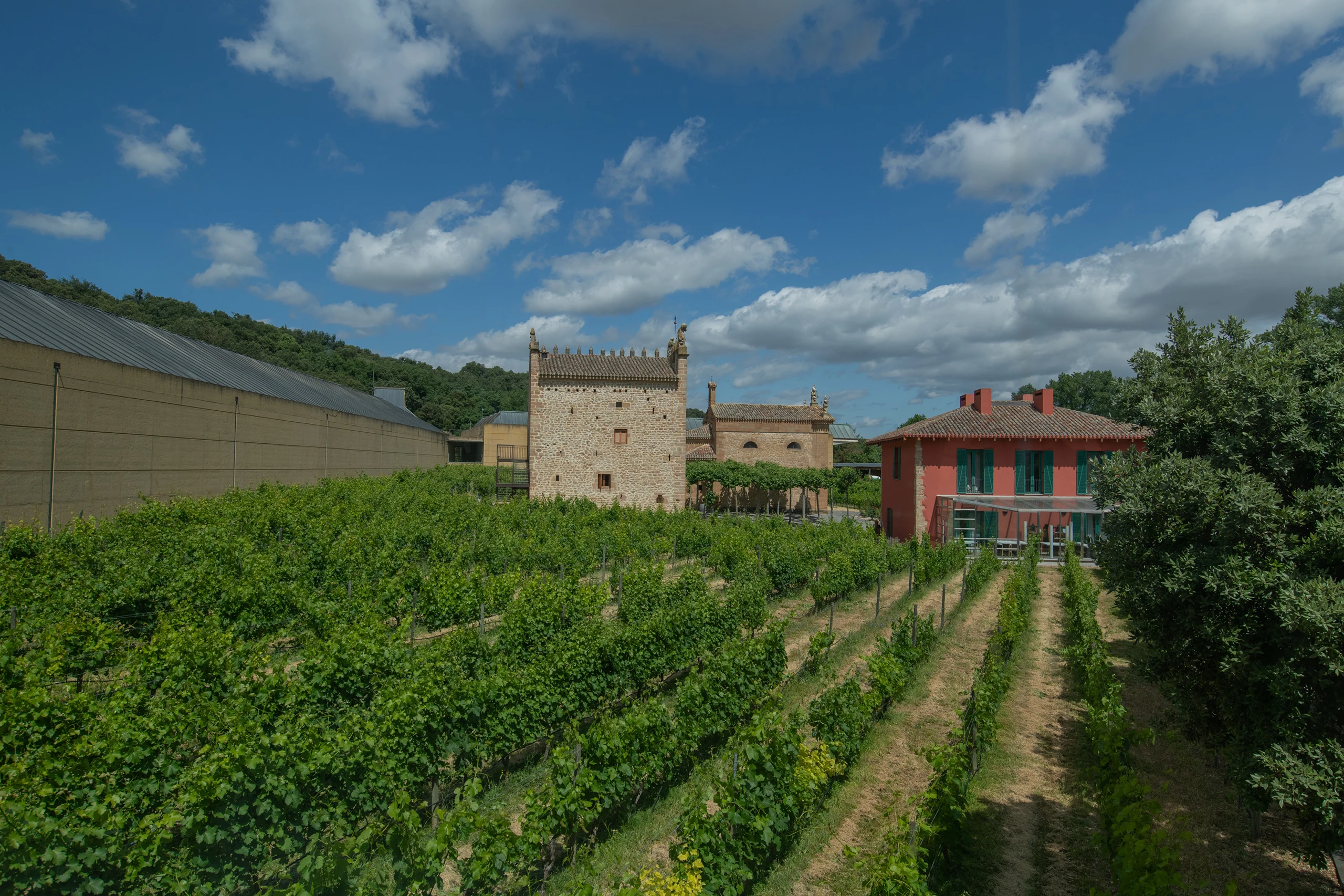 Foto 2 - Bodega Ar&iacute;nzano