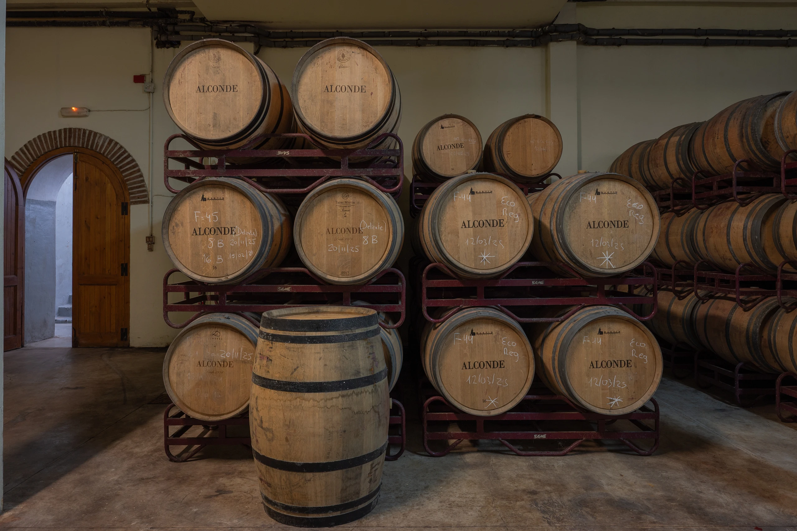 Foto 6 - Bodega y Vi&ntilde;edos Alconde