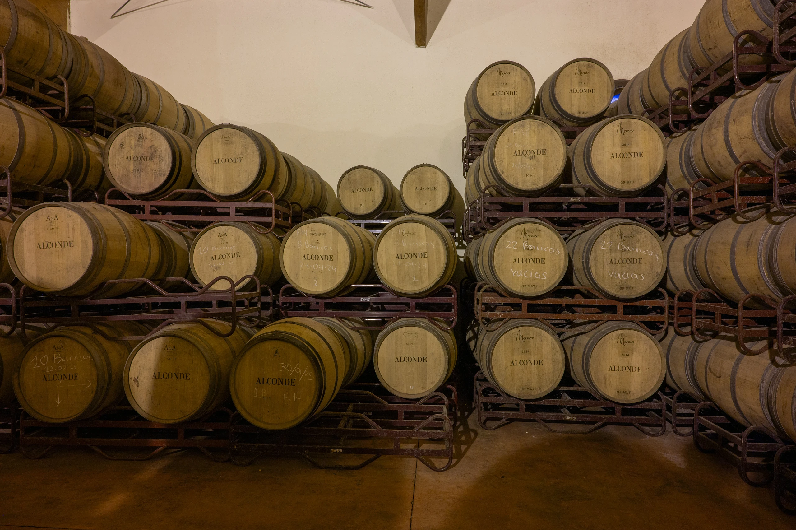 Foto 5 - Bodega y Vi&ntilde;edos Alconde