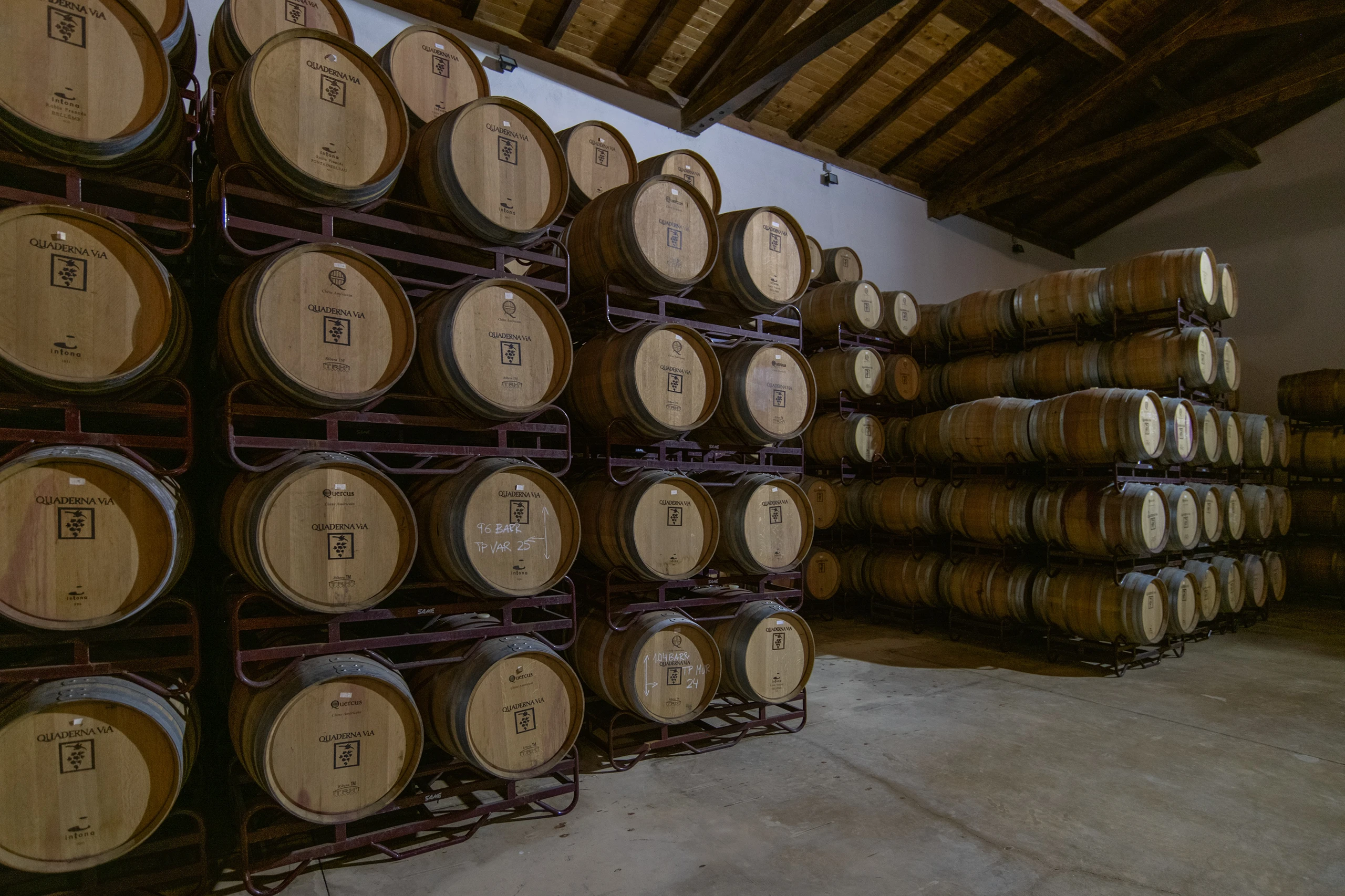 Foto 8 - Bodegas y Vi&ntilde;edos Quaderna V&iacute;a