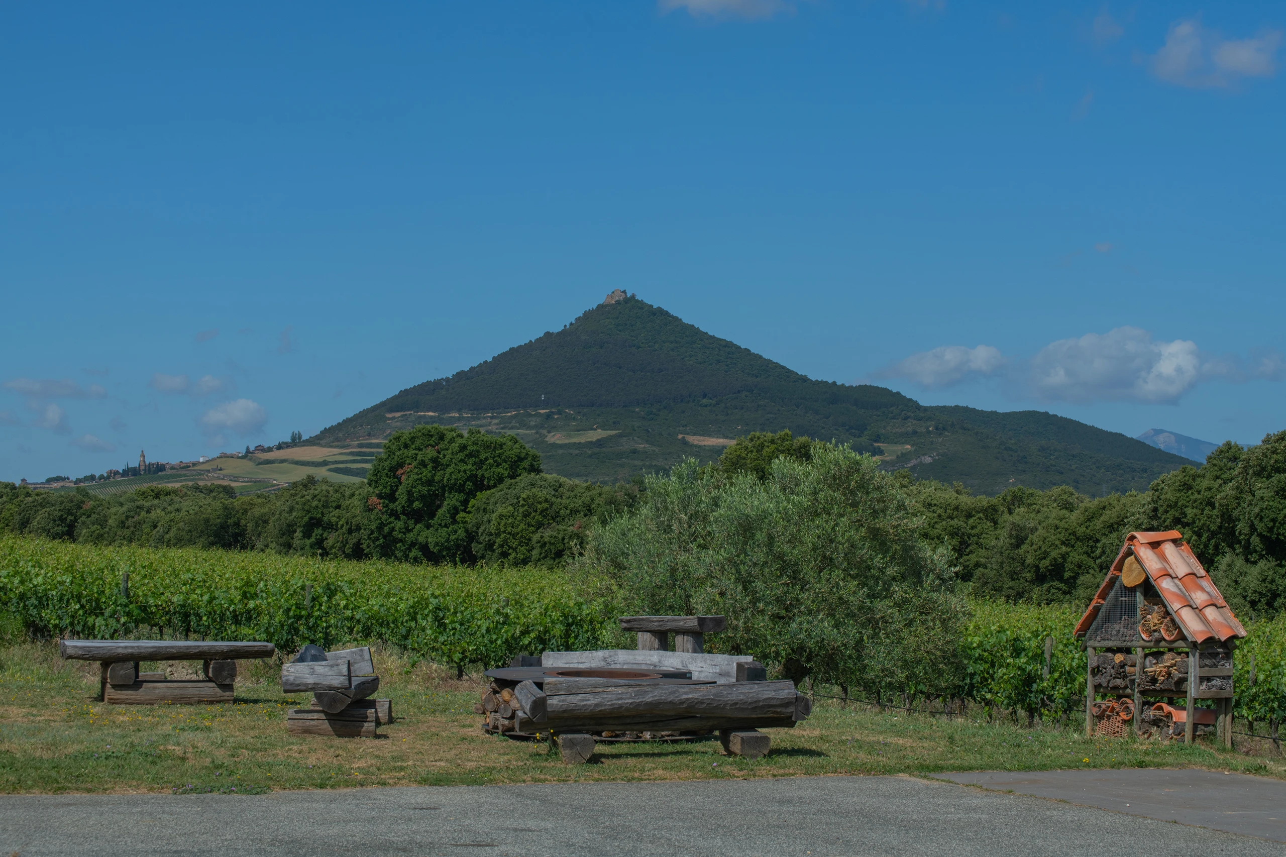 Foto 1 - Bodegas y Vi&ntilde;edos Quaderna V&iacute;a