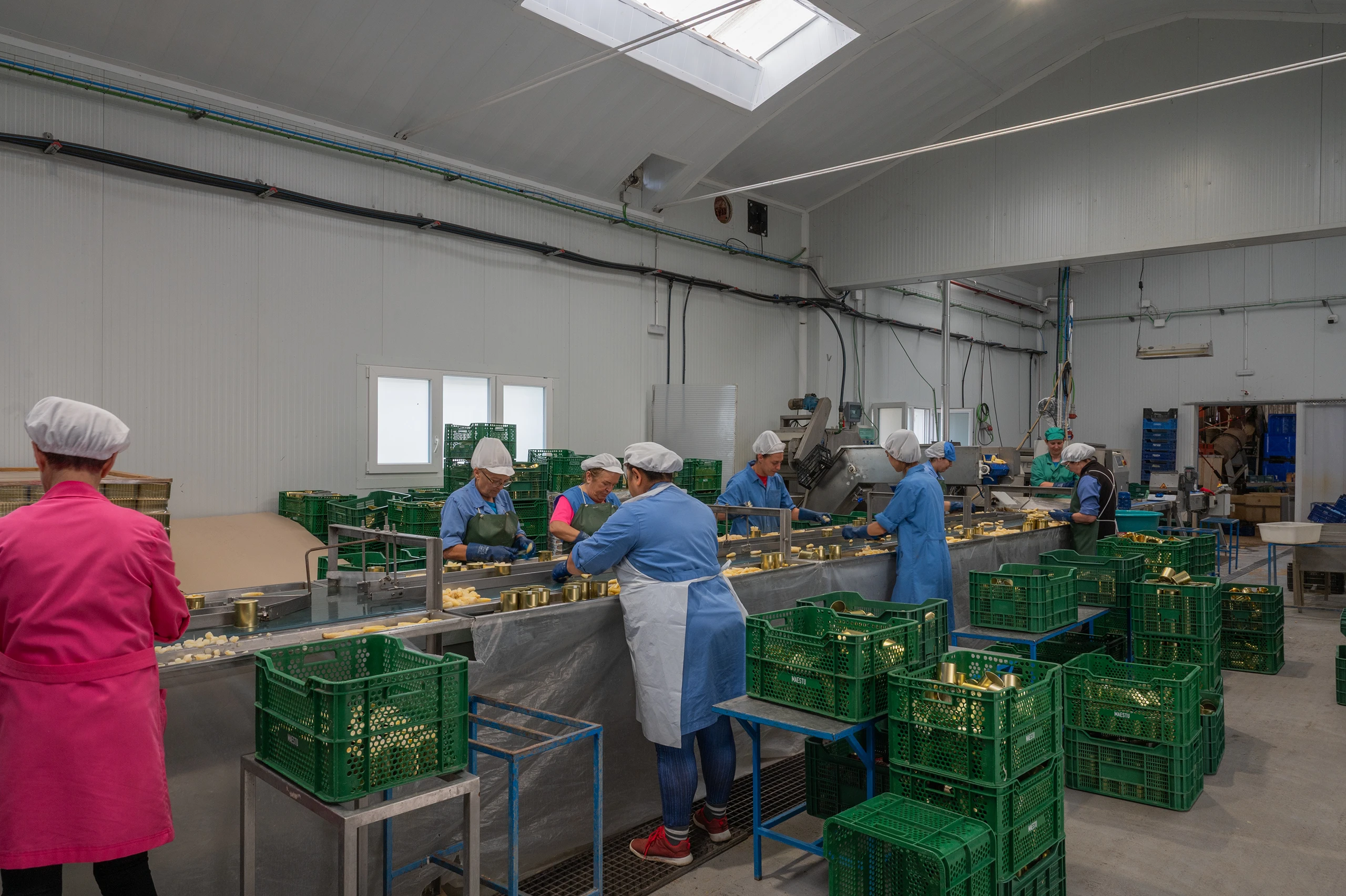 Foto 1 - Conservas El Agricultor