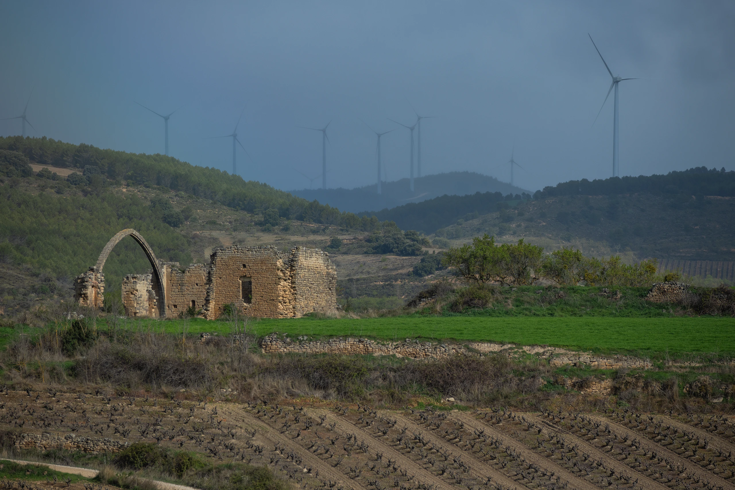 Foto 6 - Convento de San Juan del Ramo