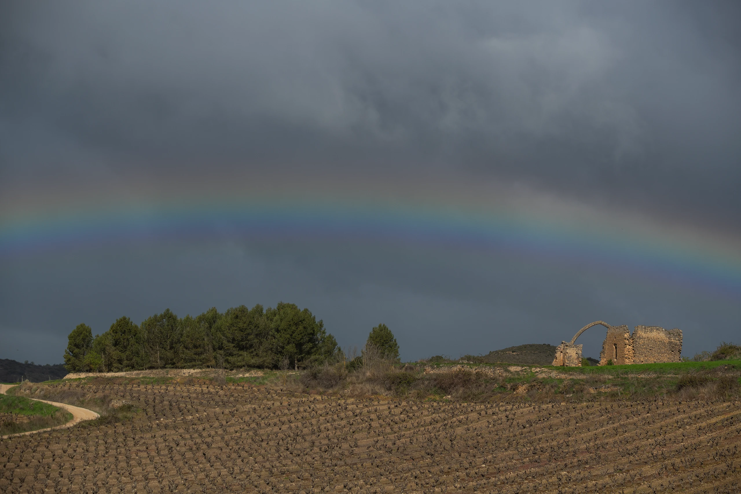 Foto 4 - Convento de San Juan del Ramo