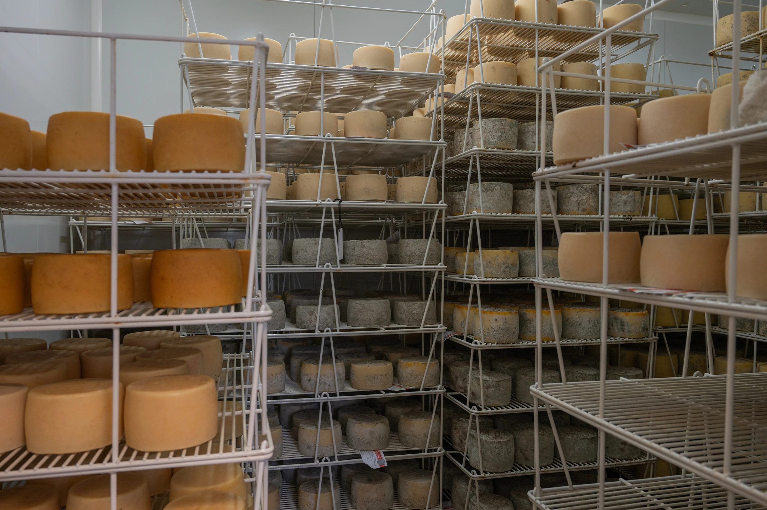 El sabor de la Sierra de Urbasa en cada elaboraci&oacute;n