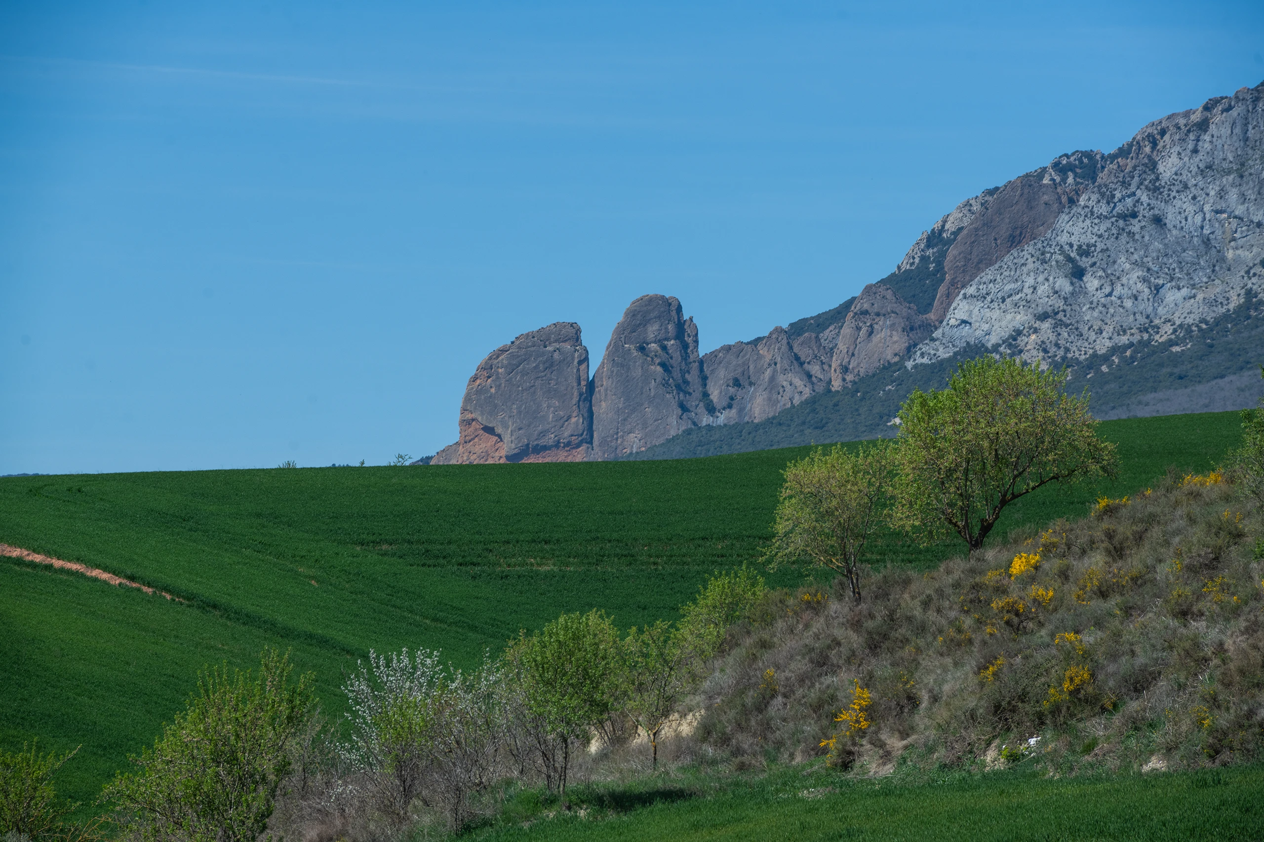 Un balc&oacute;n natural sobre el territorio