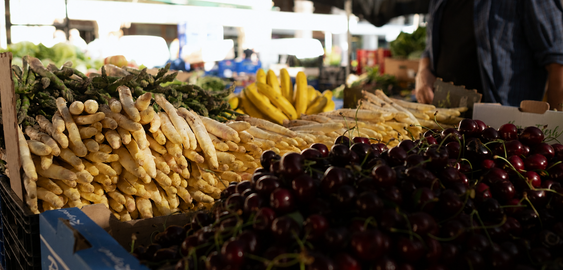 Productos y paisaje gastron&oacute;mico de Tierra Estella