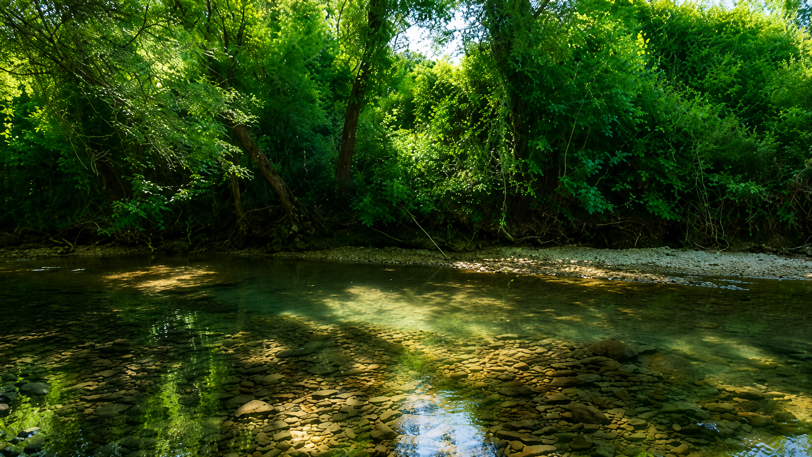 Playa Fluvial de Zudaire