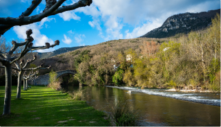 Playa Fluvial de Artavia